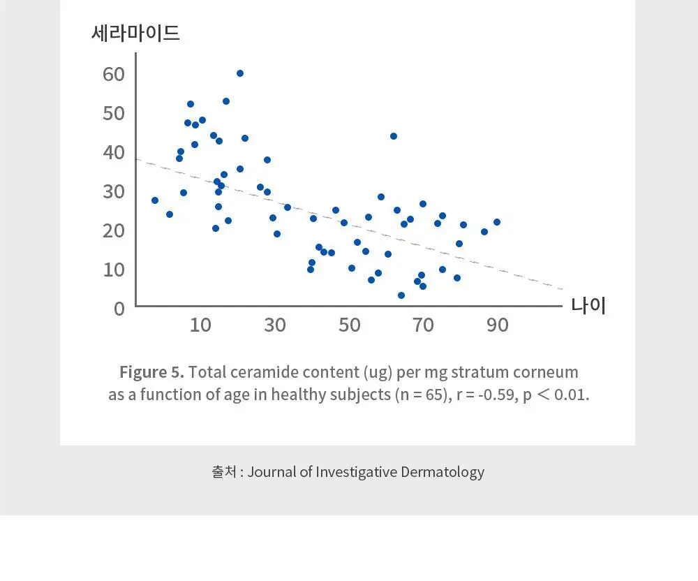 [올영단독] 레놉티 시너업콜라겐 7포 (7일분) 상세페이지 57